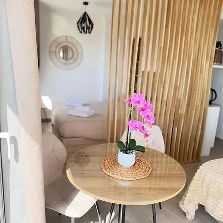 Apartman Beau 4 Couchages Vue Cannes