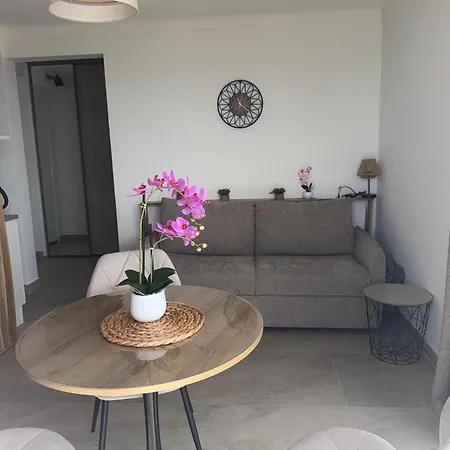 Appartement Beau 4 Couchages Vue Cannes